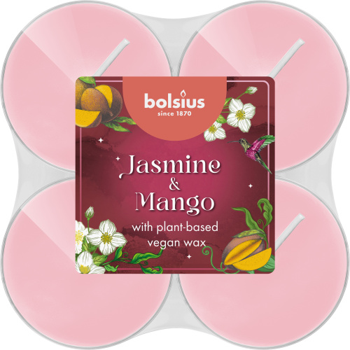 8 lõhna-teeküünalt Maxi 8h, Jasmiin&Mango