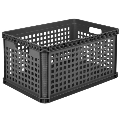 Säilituskast Robusto 64l, 60x40x32cm, nordic hall