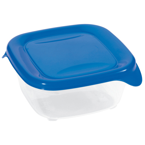 Toidukarp Fresh&Go 0,25l, kandiline, sinine