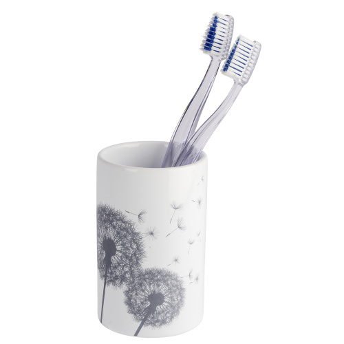 Hambaharjatops Astera