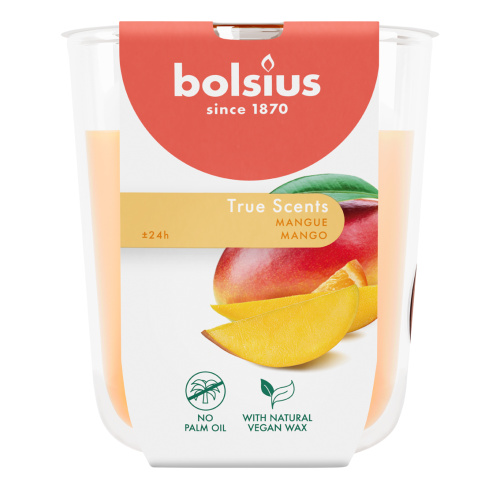 Lõhnaküünal klaasis 25h, mango