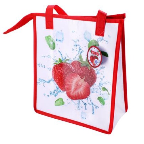 Külmakott Maasikas 33x28x13cm