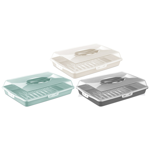 Koogikarp piklik 45x31/h10cm värvivalik