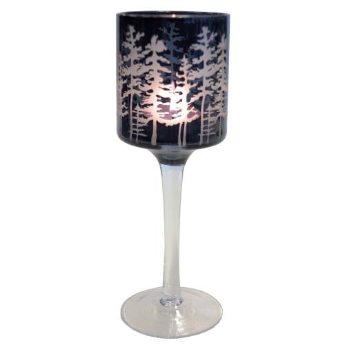 Küünlajalg Öine mets S