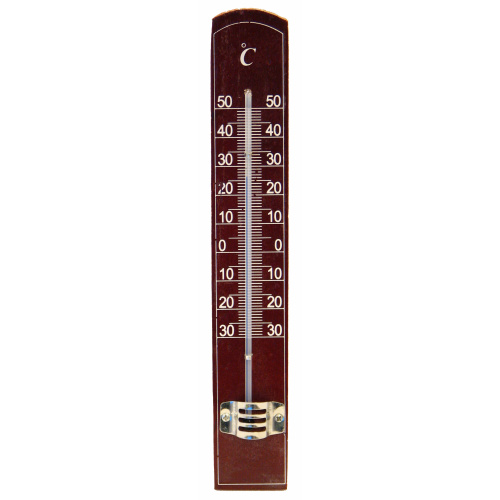 Sisetermomeeter (-30°/+50°)