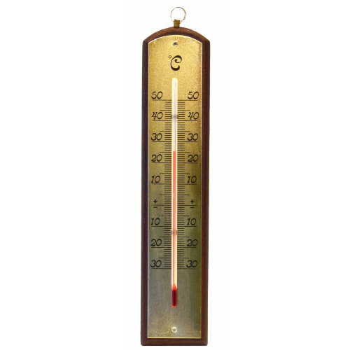 Sisetermomeeter (-30°/+50°)