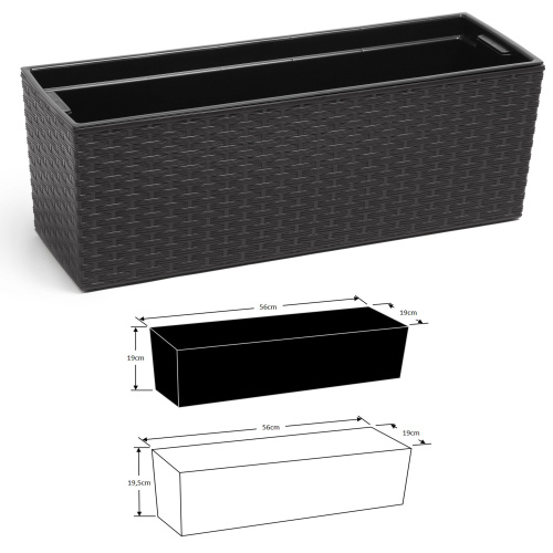 Rõdukast Begonia Rotang, must