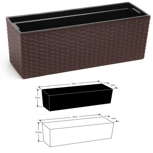 Rõdukast Begonia Rotang, moka