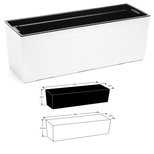 Rõdukast Begonia Dluto, valge