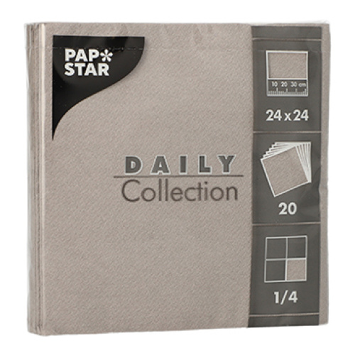 Salvrätt Daily 24x24cm 20tk, hall, 2 kihti