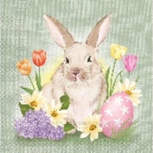 Salvrätt Jänes 33x33cm, 20tk