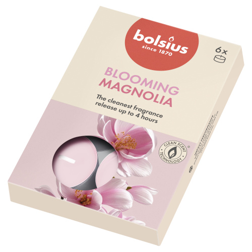 6 lõhna-teeküünalt karbis 4h, magn. True