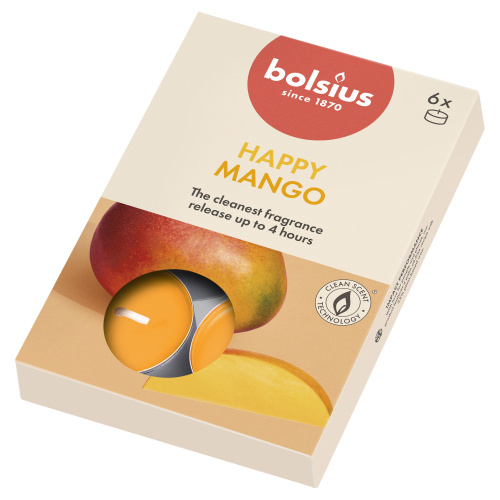 6 lõhna-teeküünalt karbis 4h, mango True