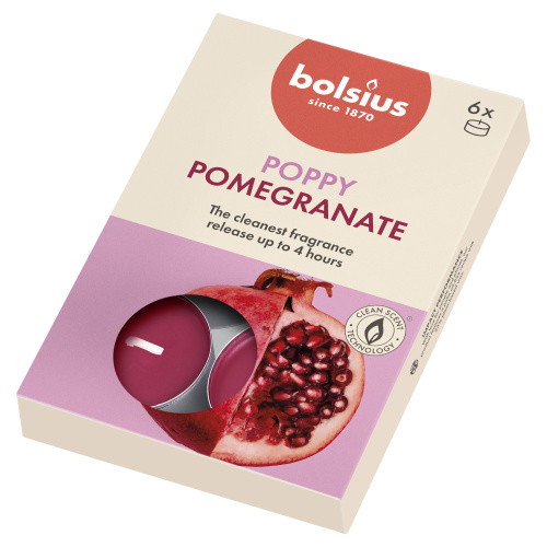 6 lõhna-teeküünalt karbis 4h, gr.õun True