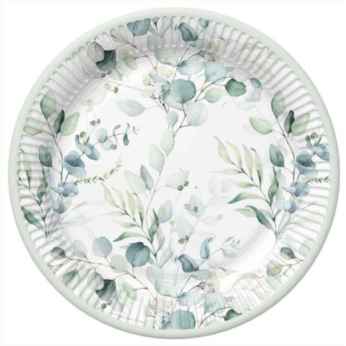 Papptaldrik Eukalüpt d.22,7cm, 8tk