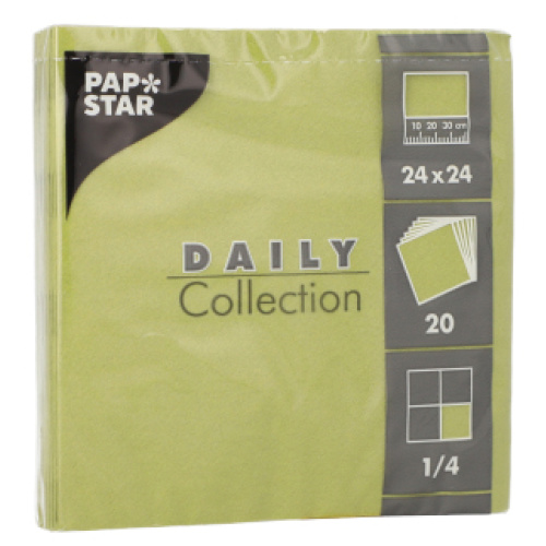 Salvrätt Daily 24x24cm 20tk, oliiv, 2 kihti