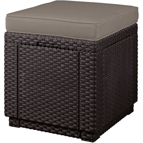 Hoiukast-iste Cube istmepadjaga pruun